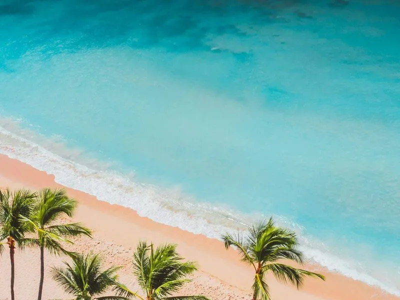 Honeymoon Travel
